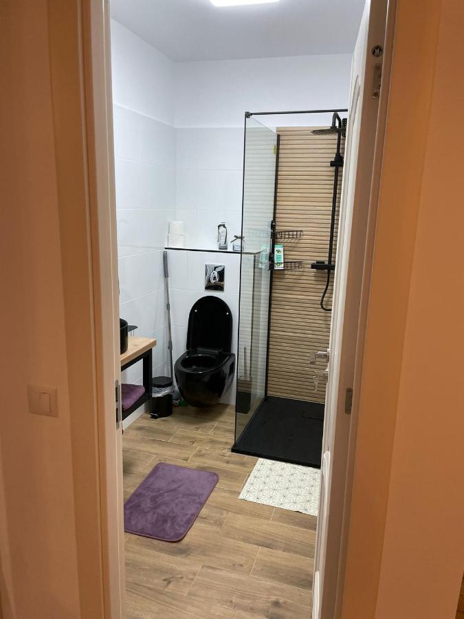 Apartament Gabriela 39 Бая-Маре Экстерьер фото