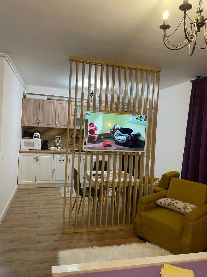Apartament Gabriela 39 Бая-Маре Экстерьер фото